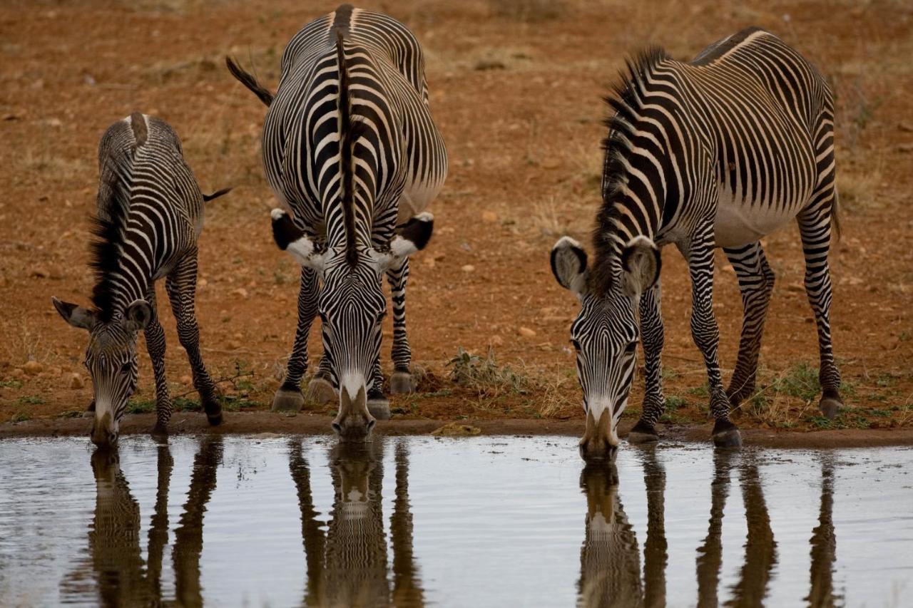 Samburu Sopa Lodge Archers Post Eksteriør bilde